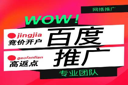 SEM服务公司助力品牌崛起案例